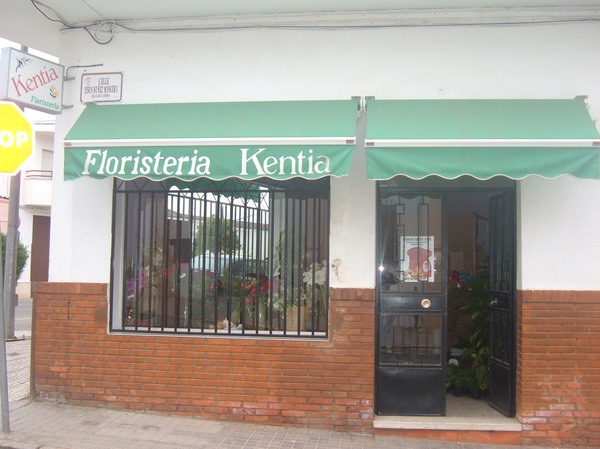 FLORISTERÍA KENTIA FLORISTERÍA KENTIA