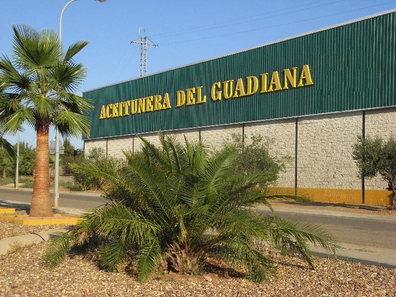 ACEITUNERA DEL GUADIANA ACEITUNERA DEL GUADIANA